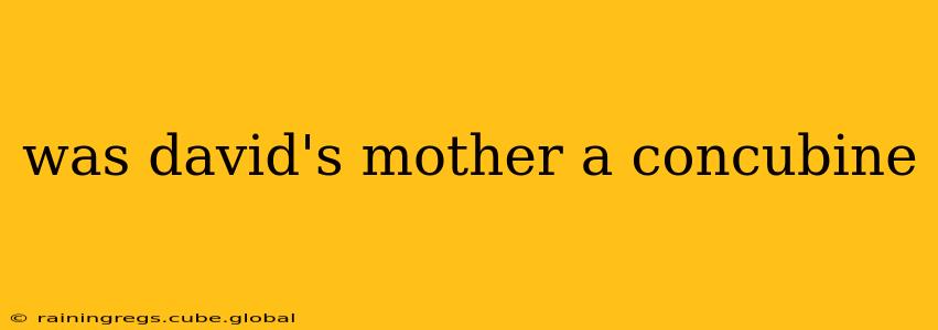 was david's mother a concubine