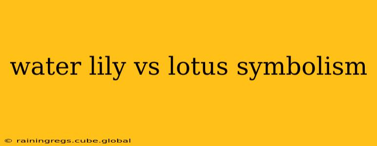 water lily vs lotus symbolism