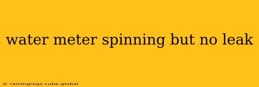 water meter spinning but no leak