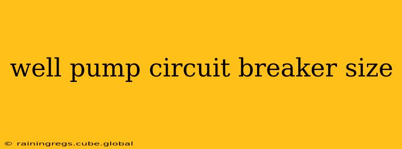 well pump circuit breaker size