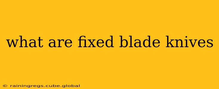 what are fixed blade knives