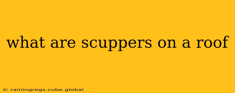 what are scuppers on a roof