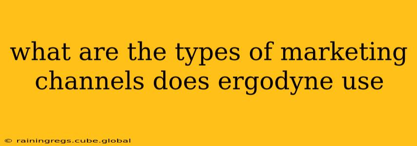 what are the types of marketing channels does ergodyne use