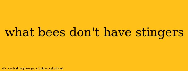 what bees don't have stingers