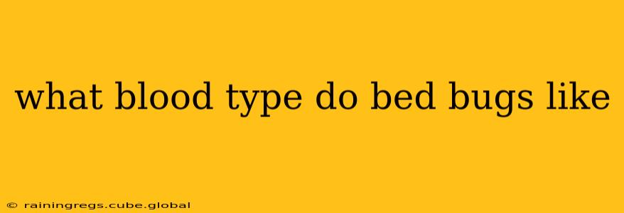 what blood type do bed bugs like