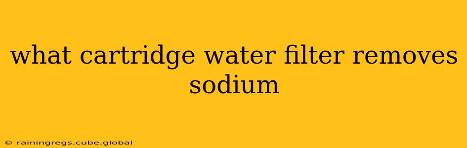 what cartridge water filter removes sodium