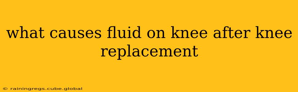 what causes fluid on knee after knee replacement
