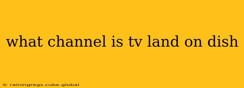 what channel is tv land on dish