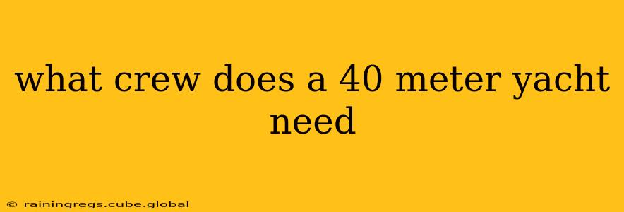 what crew does a 40 meter yacht need