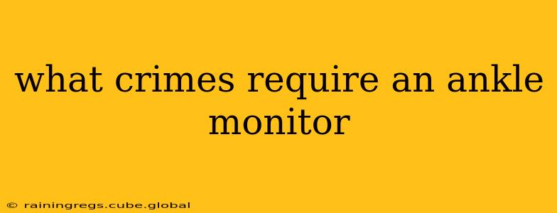what crimes require an ankle monitor