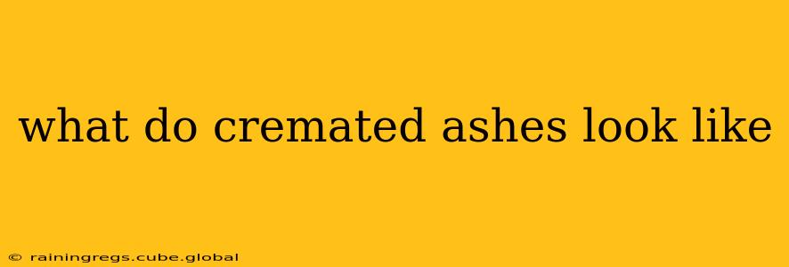 what do cremated ashes look like
