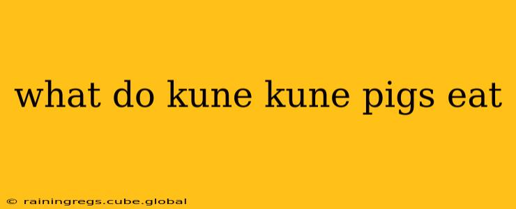 what do kune kune pigs eat