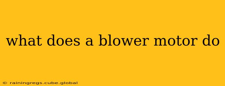 what does a blower motor do