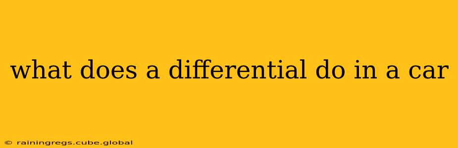 what does a differential do in a car