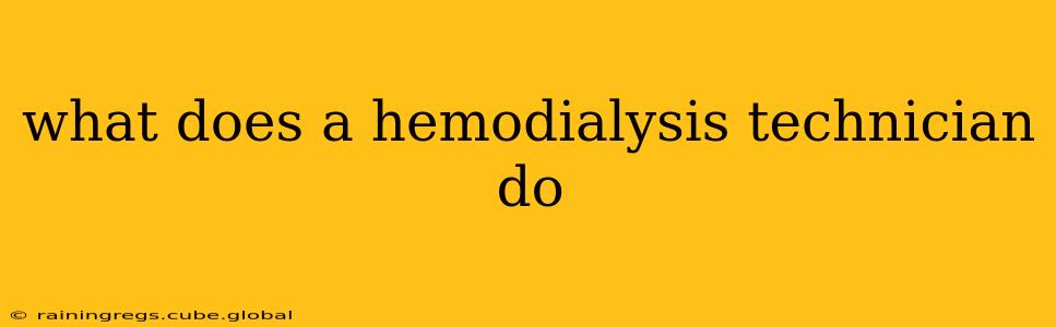 what does a hemodialysis technician do
