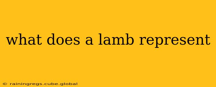 what does a lamb represent
