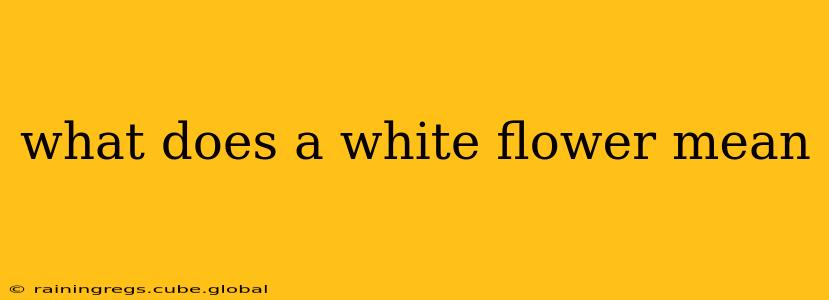 what does a white flower mean