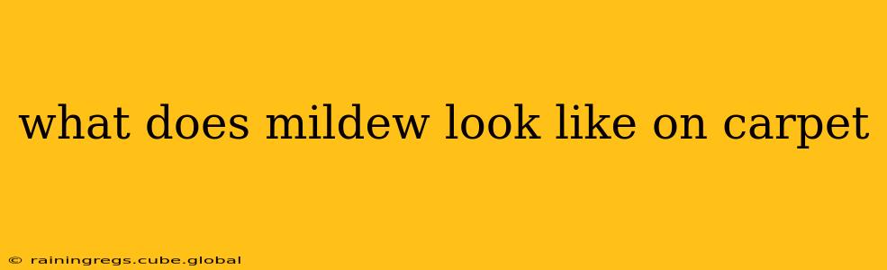 what does mildew look like on carpet