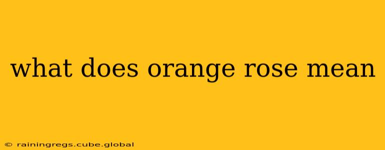 what does orange rose mean