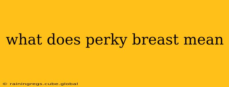 what does perky breast mean