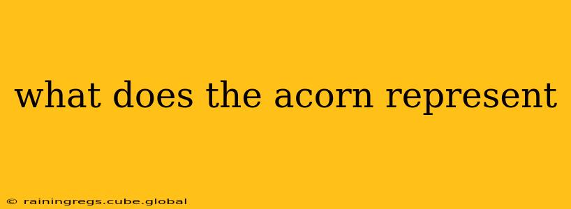 what does the acorn represent