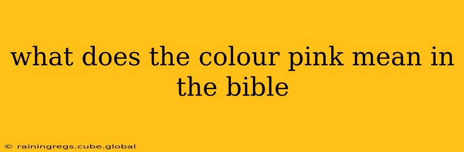 what does the colour pink mean in the bible