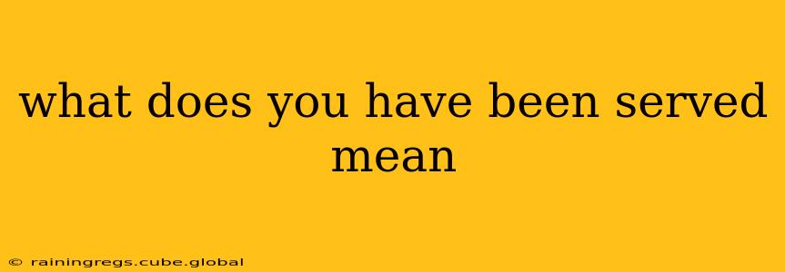 what does you have been served mean