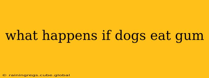 what happens if dogs eat gum