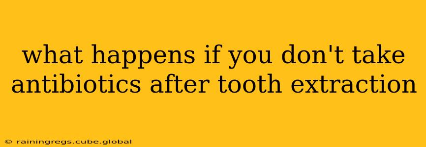 what happens if you don't take antibiotics after tooth extraction
