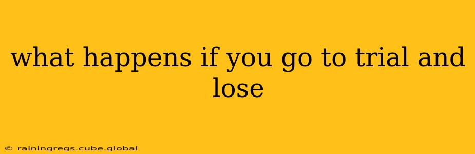 what happens if you go to trial and lose