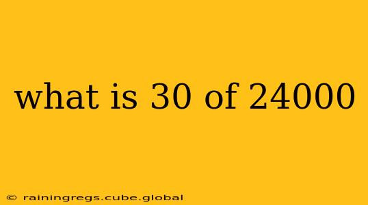 what is 30 of 24000