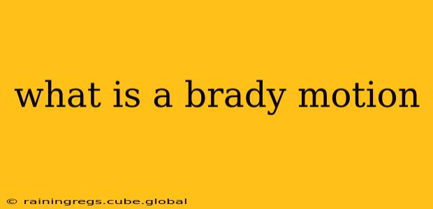 what is a brady motion