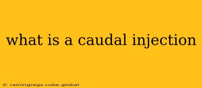 what is a caudal injection