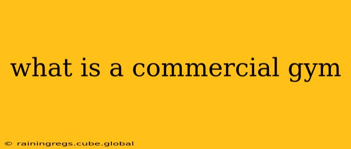 what is a commercial gym