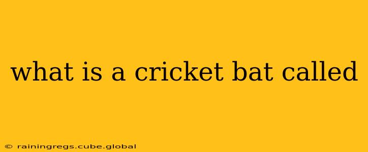 what is a cricket bat called