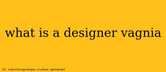 what is a designer vagnia