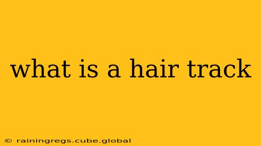 what is a hair track
