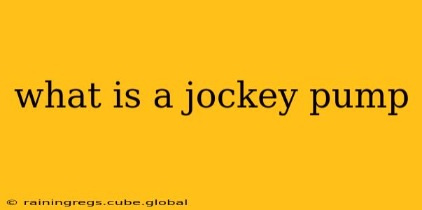 what is a jockey pump
