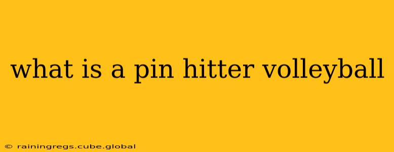 what is a pin hitter volleyball