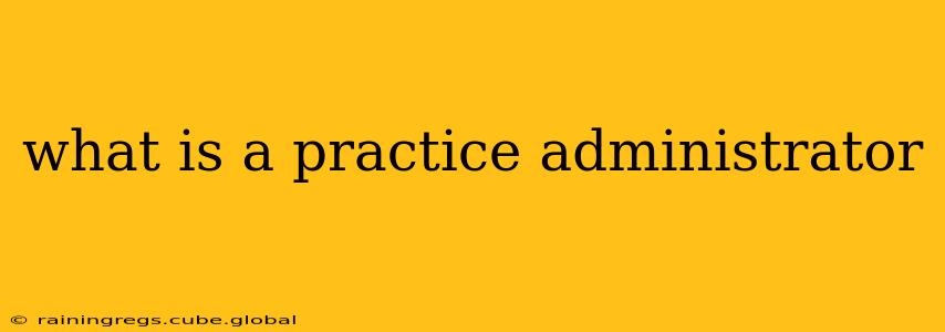 what is a practice administrator