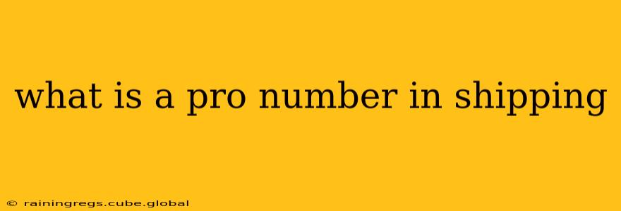 what is a pro number in shipping