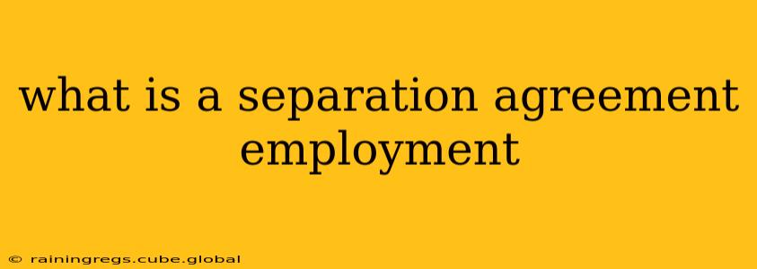 what is a separation agreement employment