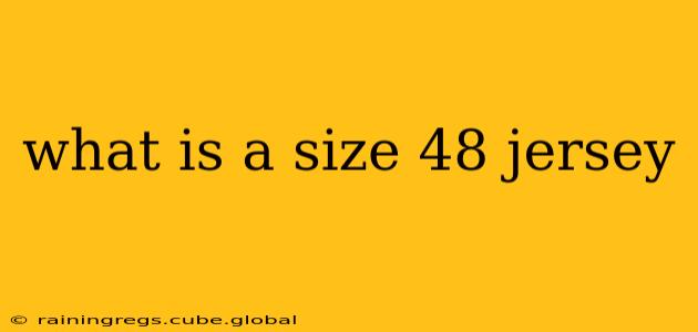 what is a size 48 jersey