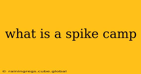what is a spike camp