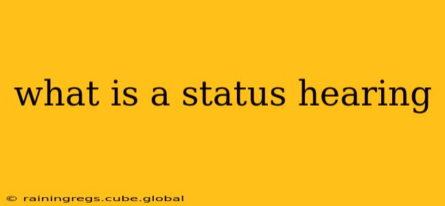 what is a status hearing