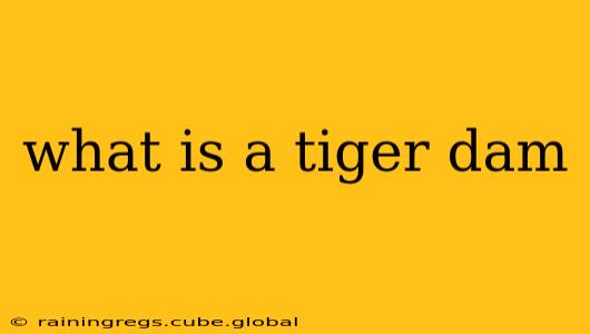 what is a tiger dam