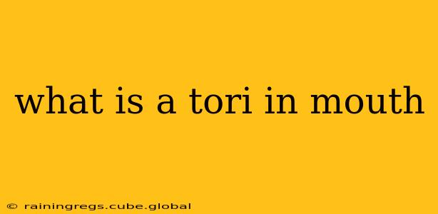 what is a tori in mouth