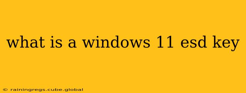 what is a windows 11 esd key