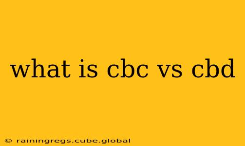 what is cbc vs cbd