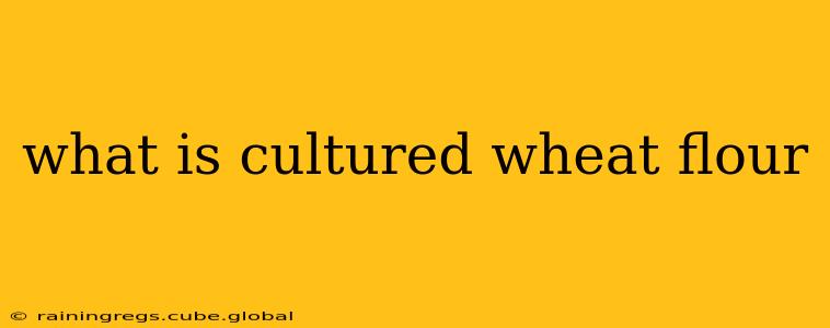 what is cultured wheat flour